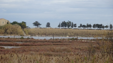 on approche de MAGUELONNE